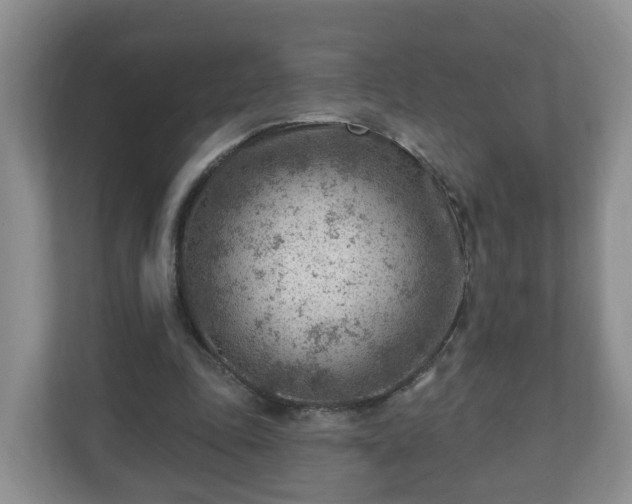 X0000111040343200907021603