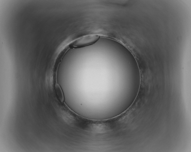 X0000111040344200907021603