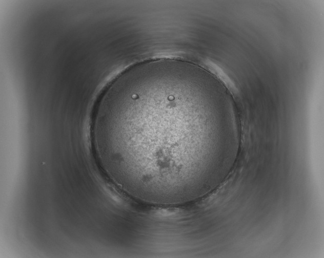 X0000111040346200907021603