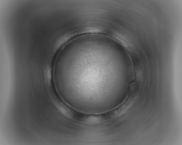 X0000111040350200907021603