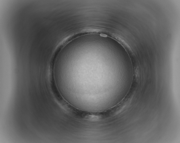 X0000111040352200907021603