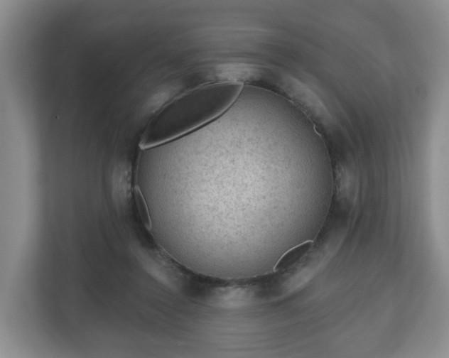 X0000111040356200907021603