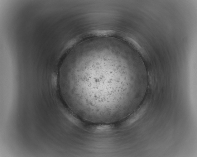 X0000111040357200907021603