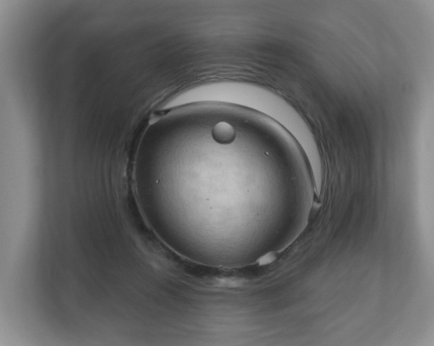 X0000111040360200907021603