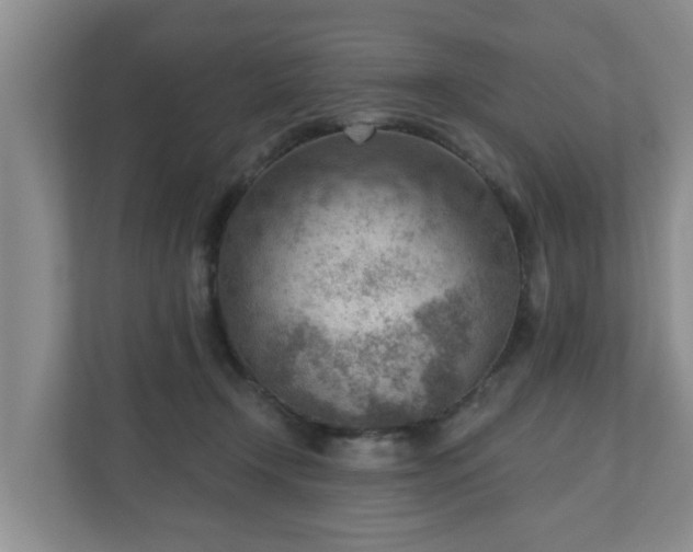 X0000111040366200907021603