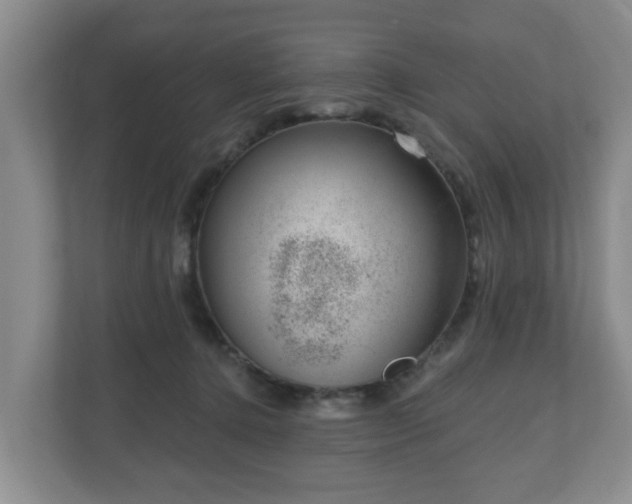 X0000111040368200907021603