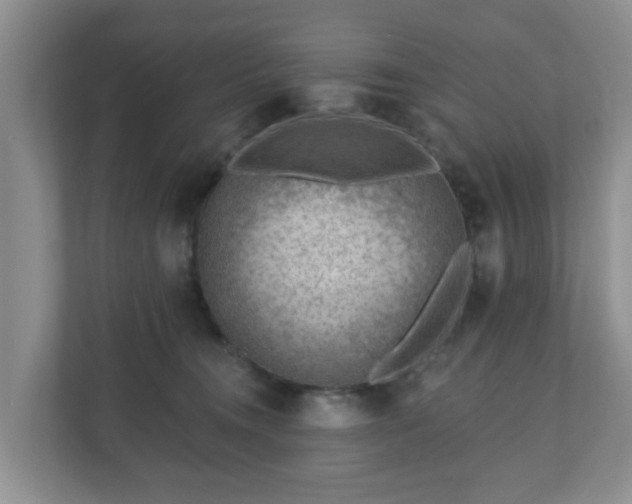 X0000111040372200907021603