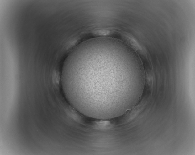 X0000111040374200907021603