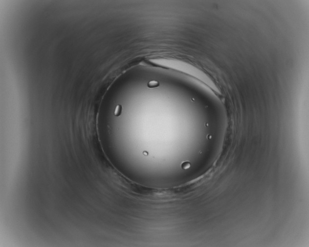 X0000111040376200907021603