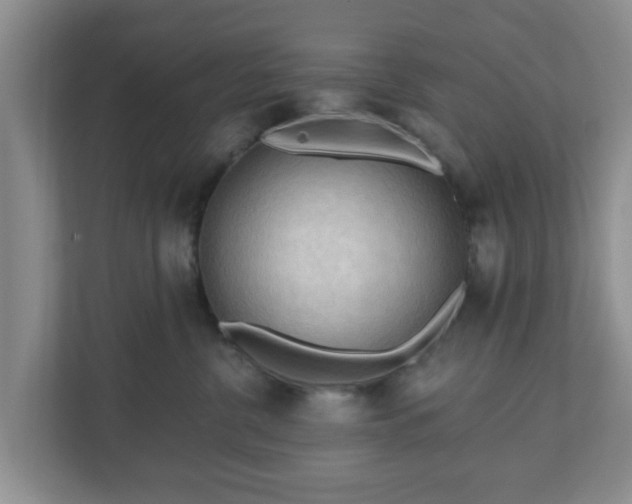 X0000111040380200907021603
