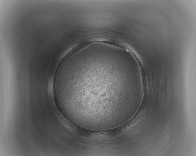 X0000111040386200907021603
