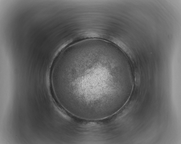X0000111040390200907021603