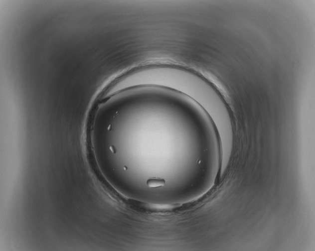 X0000111040391200907021603