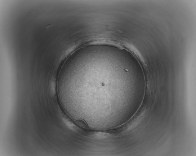 X0000111040393200907021603