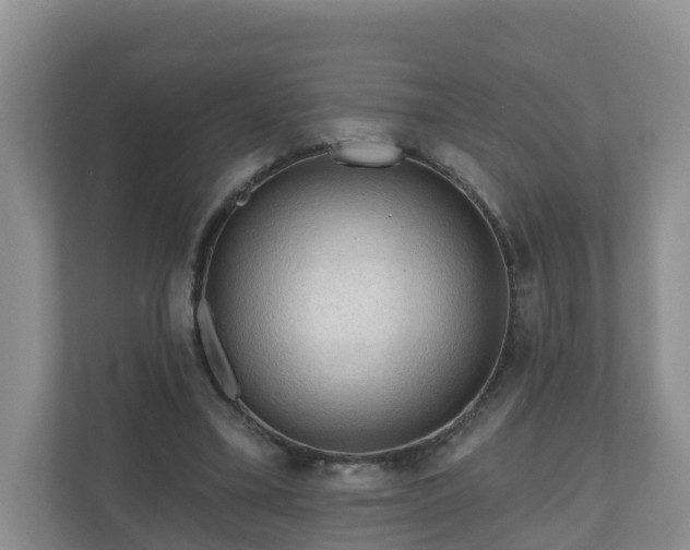 X0000111040395200907021603