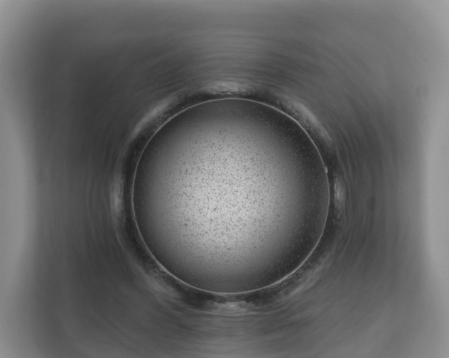 X0000111040396200907021603
