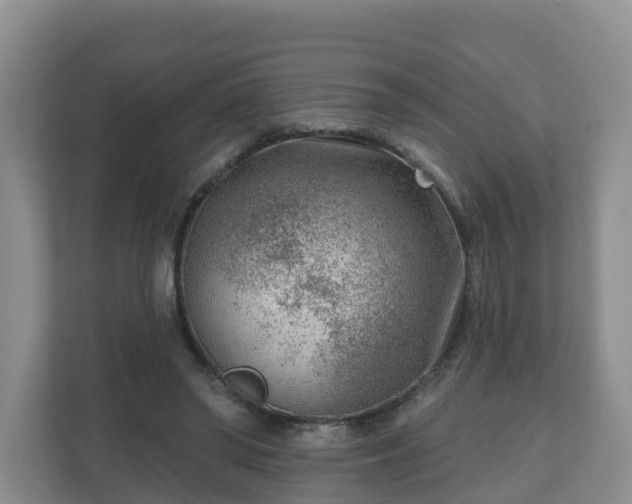 X0000111040398200907021603