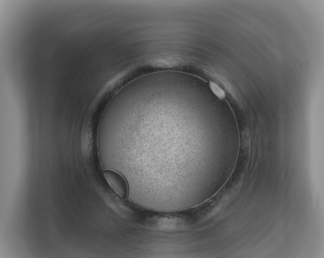 X0000111040400200907021603