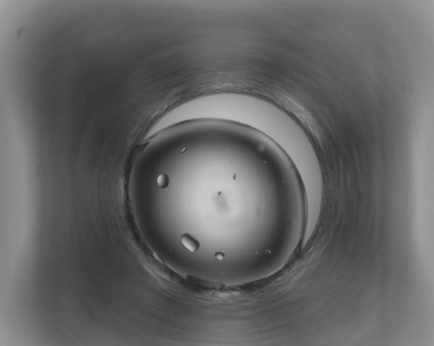 X0000111040401200907021602
