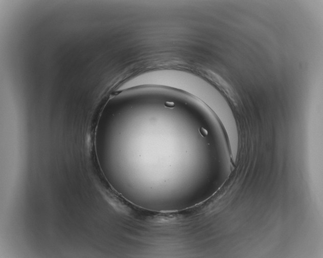 X0000111040405200907021602