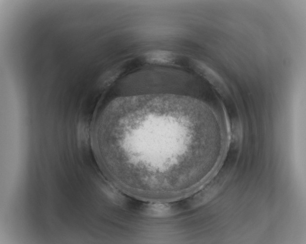 X0000111040409200907021602