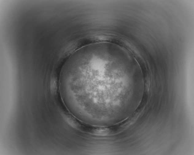 X0000111040410200907021602