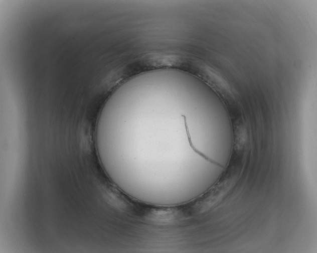 X0000111040414200907021602