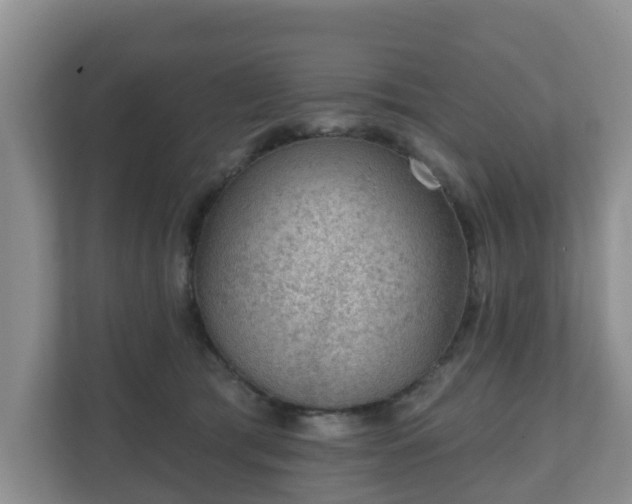 X0000111040417200907021602