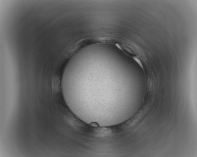 X0000111040421200907021602