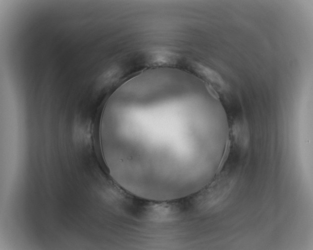 X0000111040423200907021602