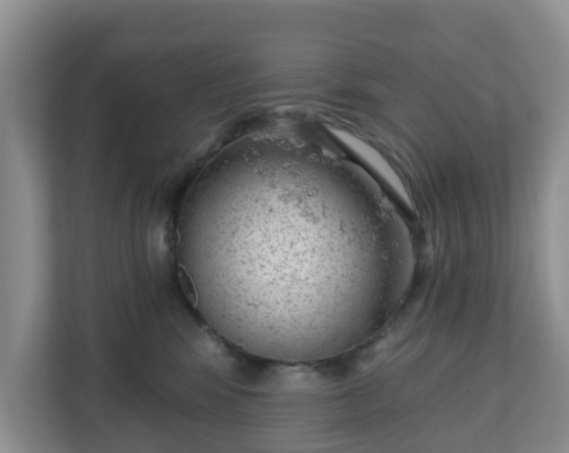 X0000111040424200907021602