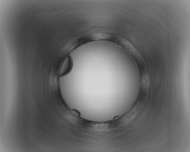 X0000111040426200907021602