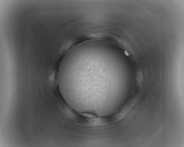 X0000111040428200907021602