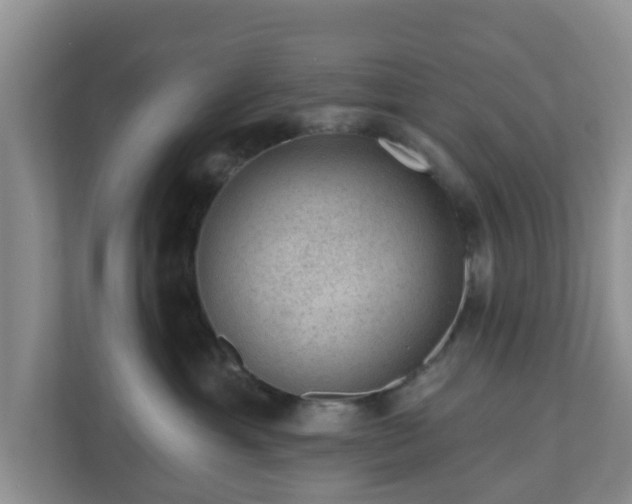 X0000111040429200907021602