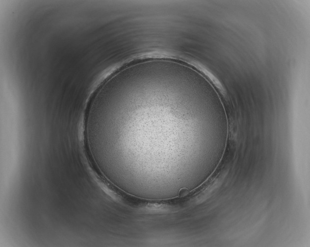 X0000111040437200907021601