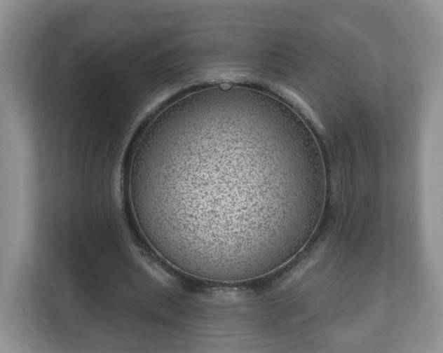 X0000111040439200907021601