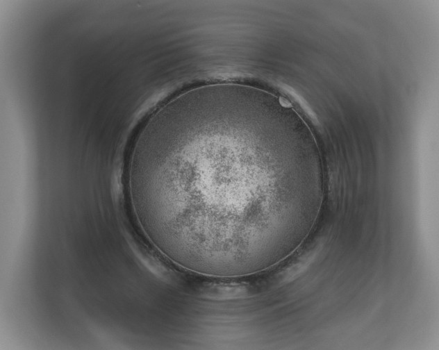 X0000111040443200907021602