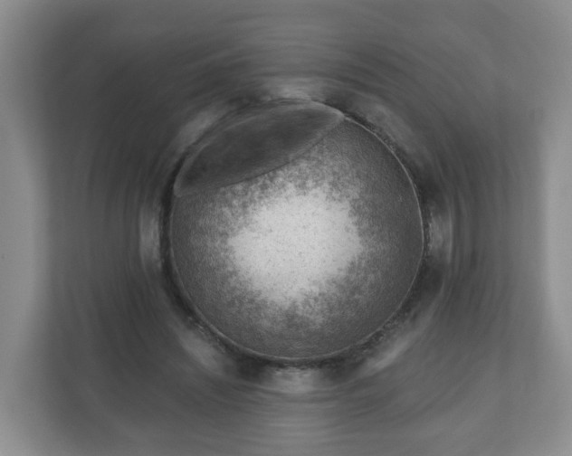 X0000111040444200907021602