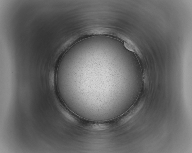 X0000111040445200907021602