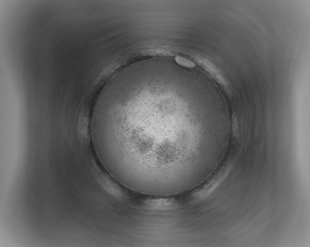 X0000111040449200907021602