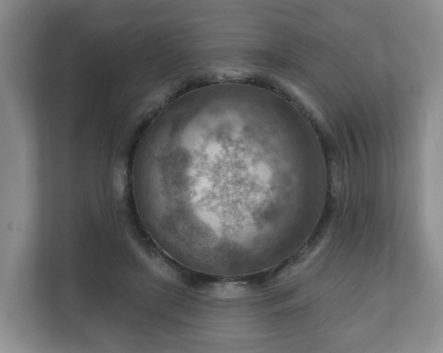X0000111040451200907021602
