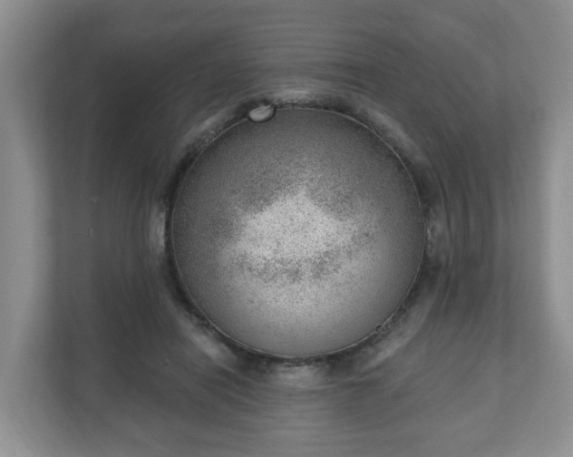 X0000111040454200907021602