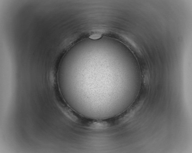 X0000111040455200907021602