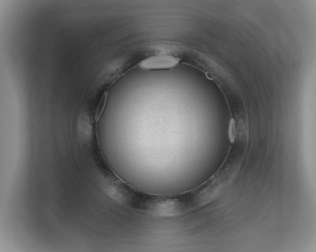 X0000111040456200907021602