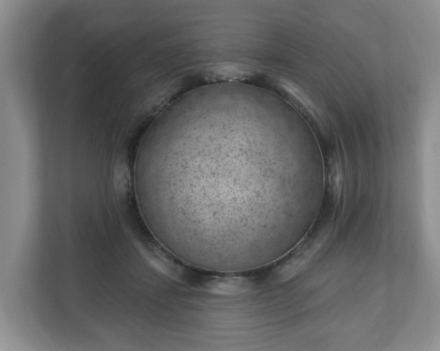 X0000111040459200907021602