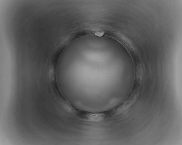 X0000111040465200907021602