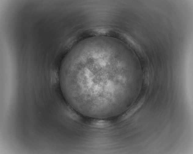 X0000111040467200907021602