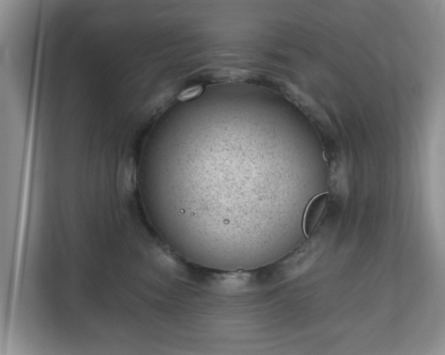 X0000111040474200907021602