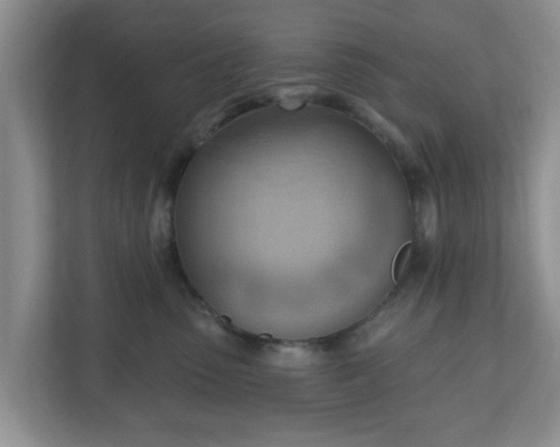 X0000111040475200907021602
