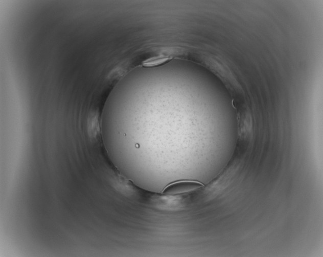 X0000111040478200907021602
